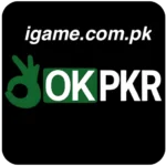 OK PKr New Earning APP
