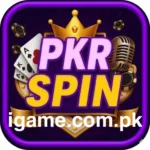 PKRSpin APK